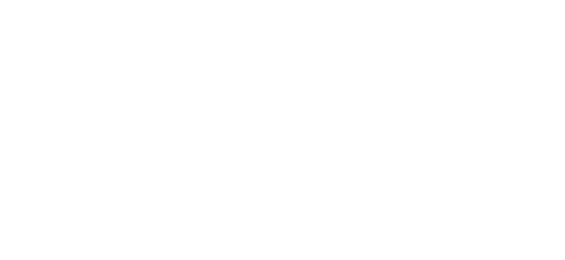 پائیزر logo